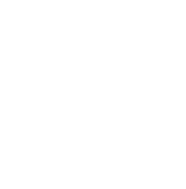 Nirvana Van logo